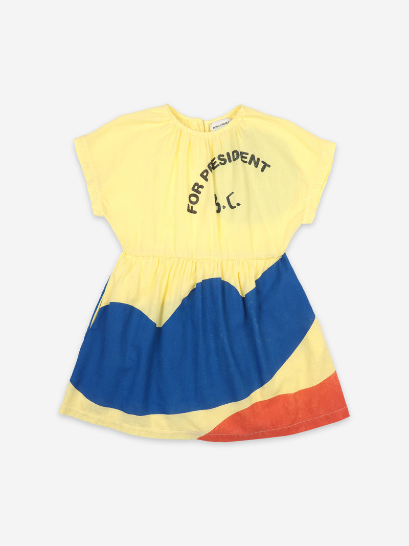 Landscape Woven Dress