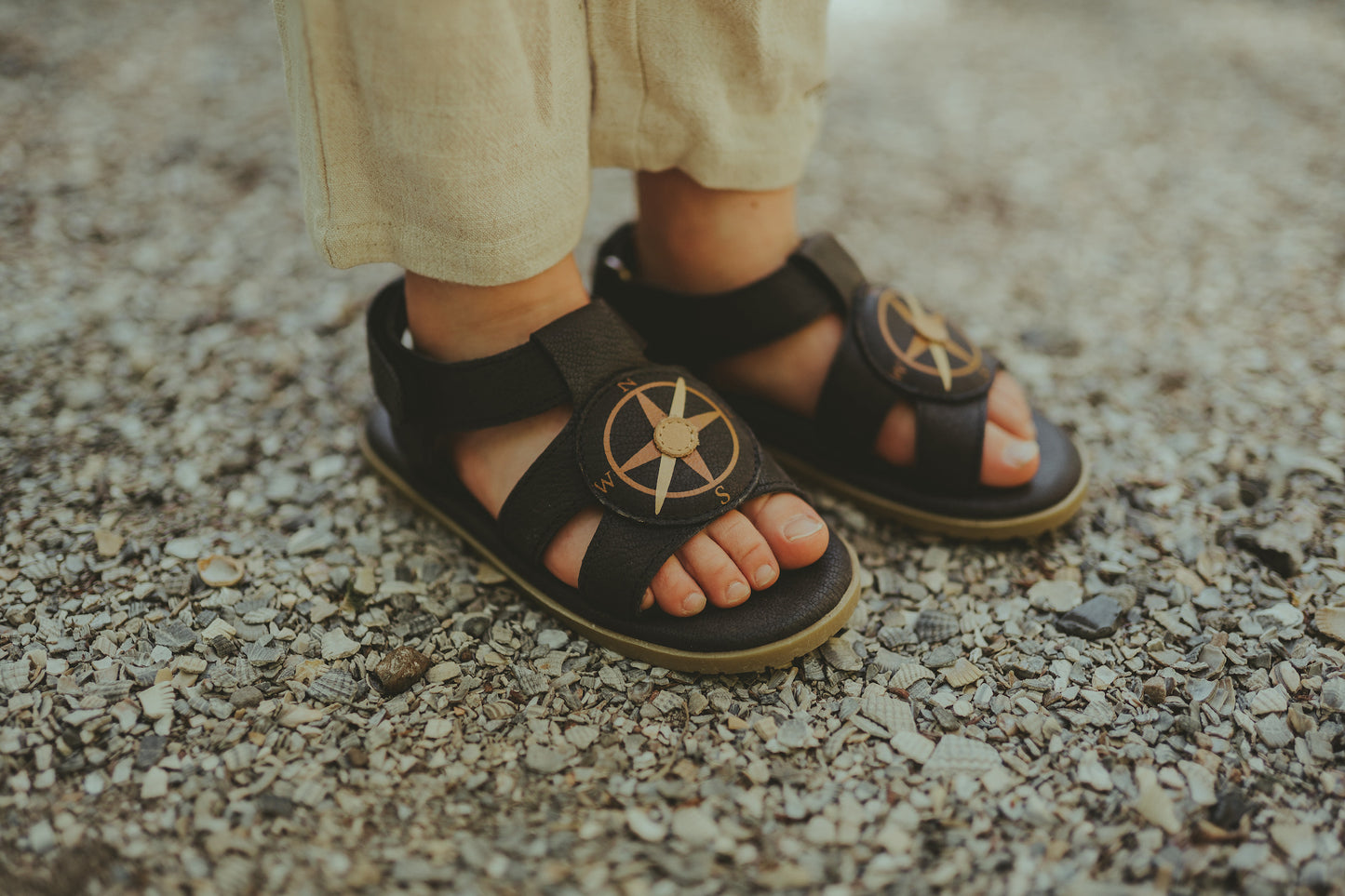 Mattia Compass