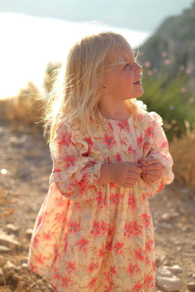 Arinola Dress Raspberry Flowers