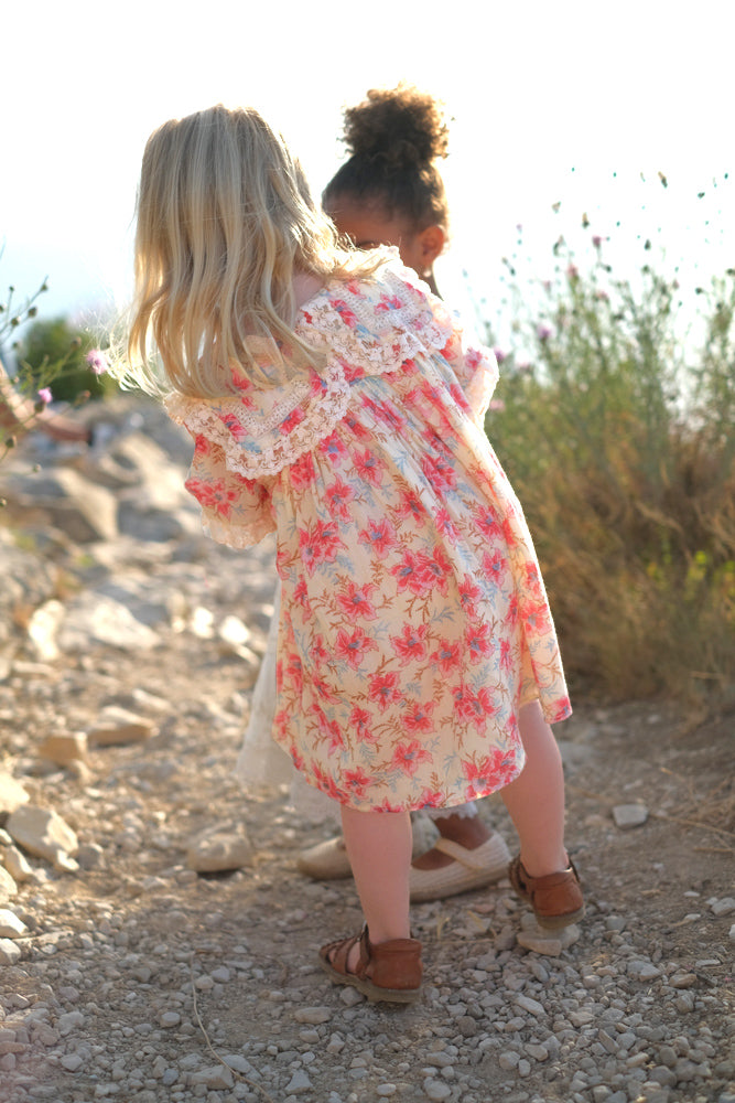 Arinola Dress Raspberry Flowers