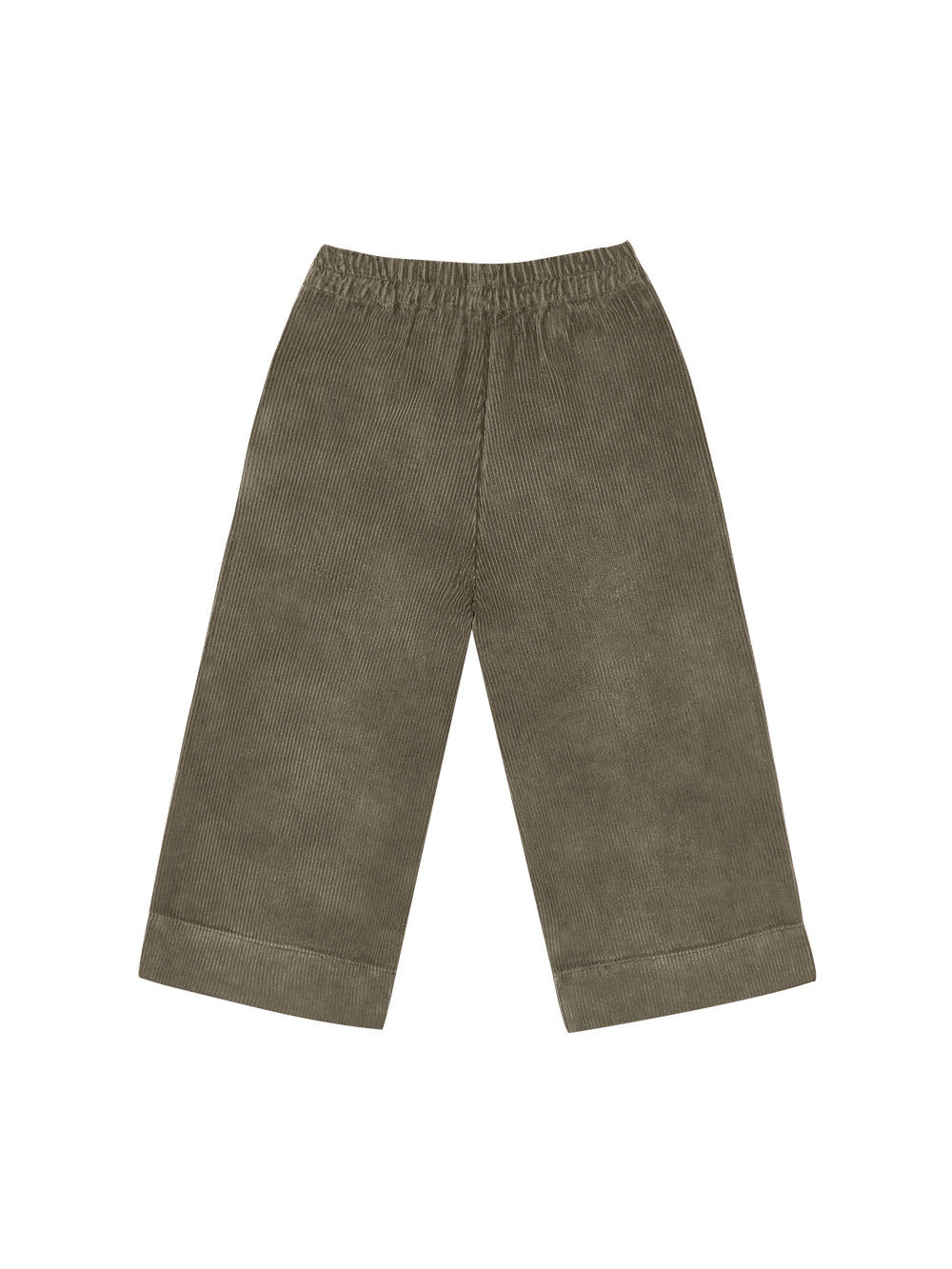 Mott Pant Dried Herb