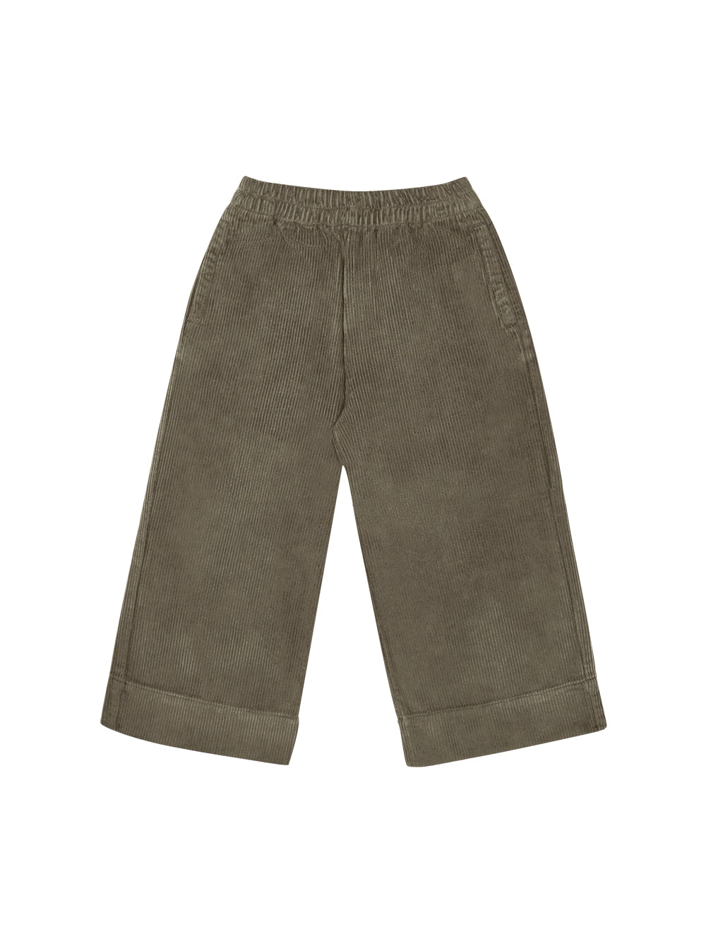 Mott Pant Dried Herb