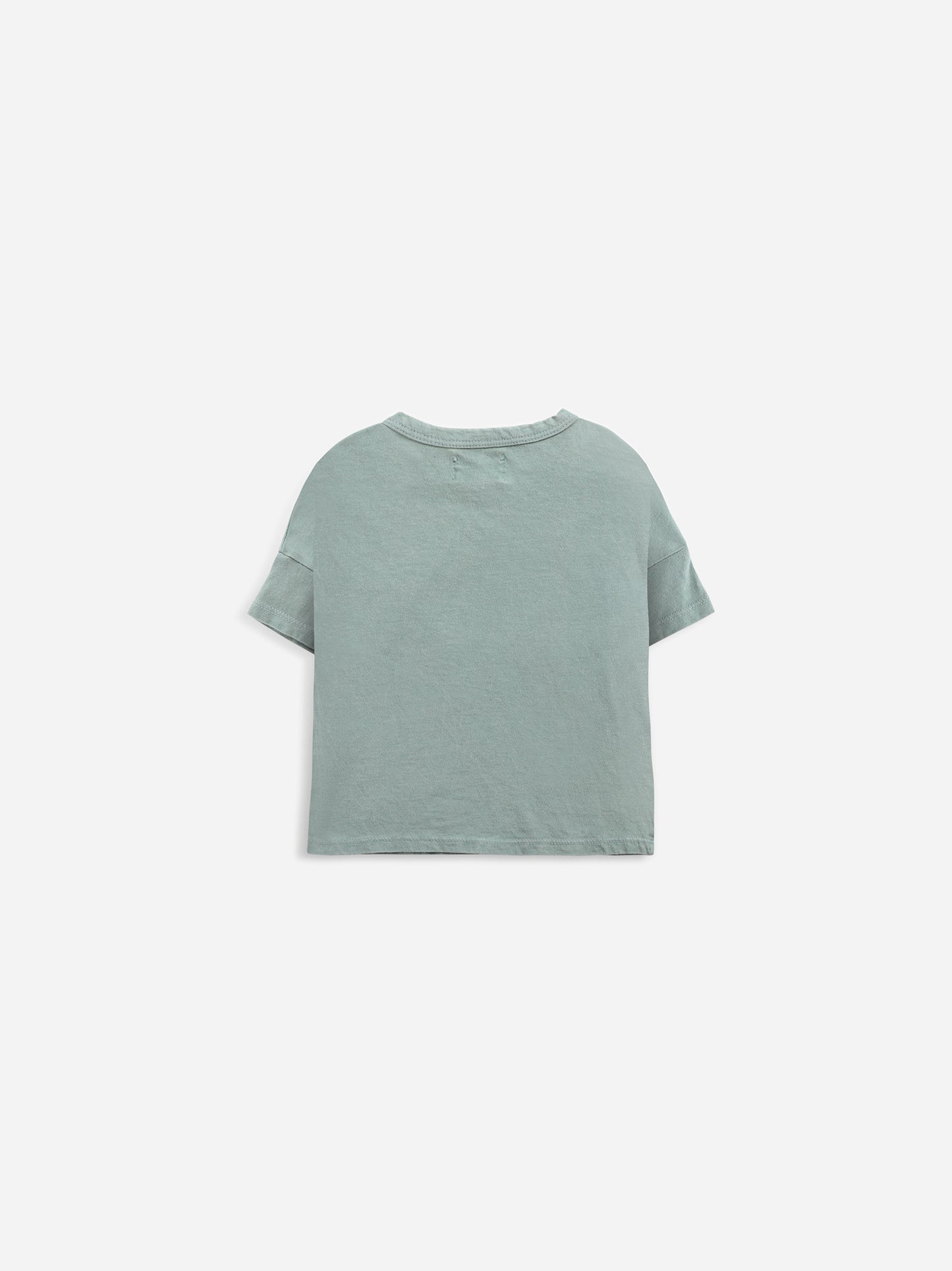 Ladybug Short Sleeve T-Shirt