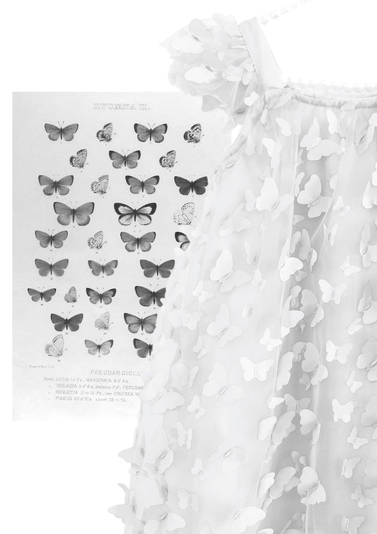 Allover Butterflies Tutu Dress Klänning White
